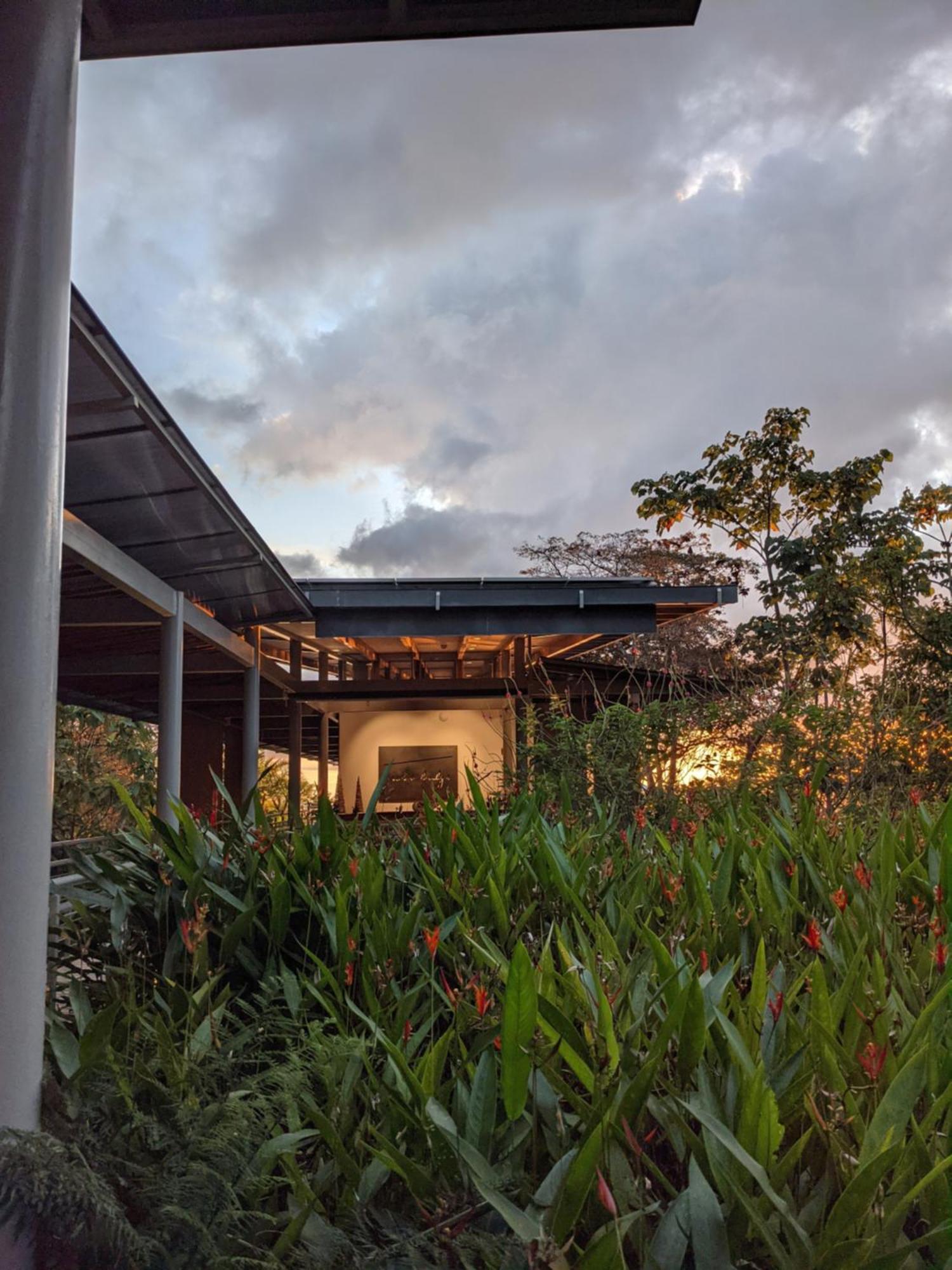 Cielo Lodge Golfito Exterior foto